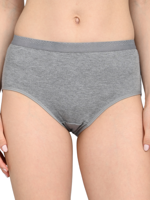 Everyday Panties for Women | Brief Cut | Soft Breathable Fabric | Full Coverage Fit | No Visible Lines | Grey
